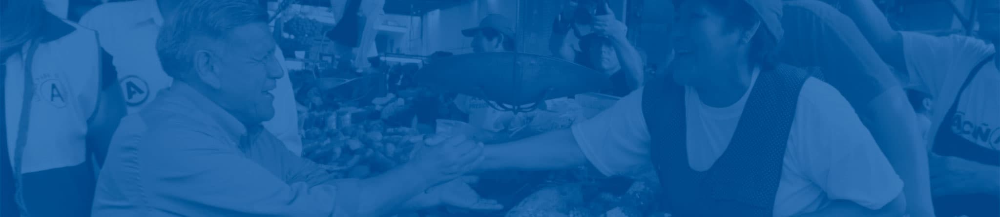 Fondo del banner